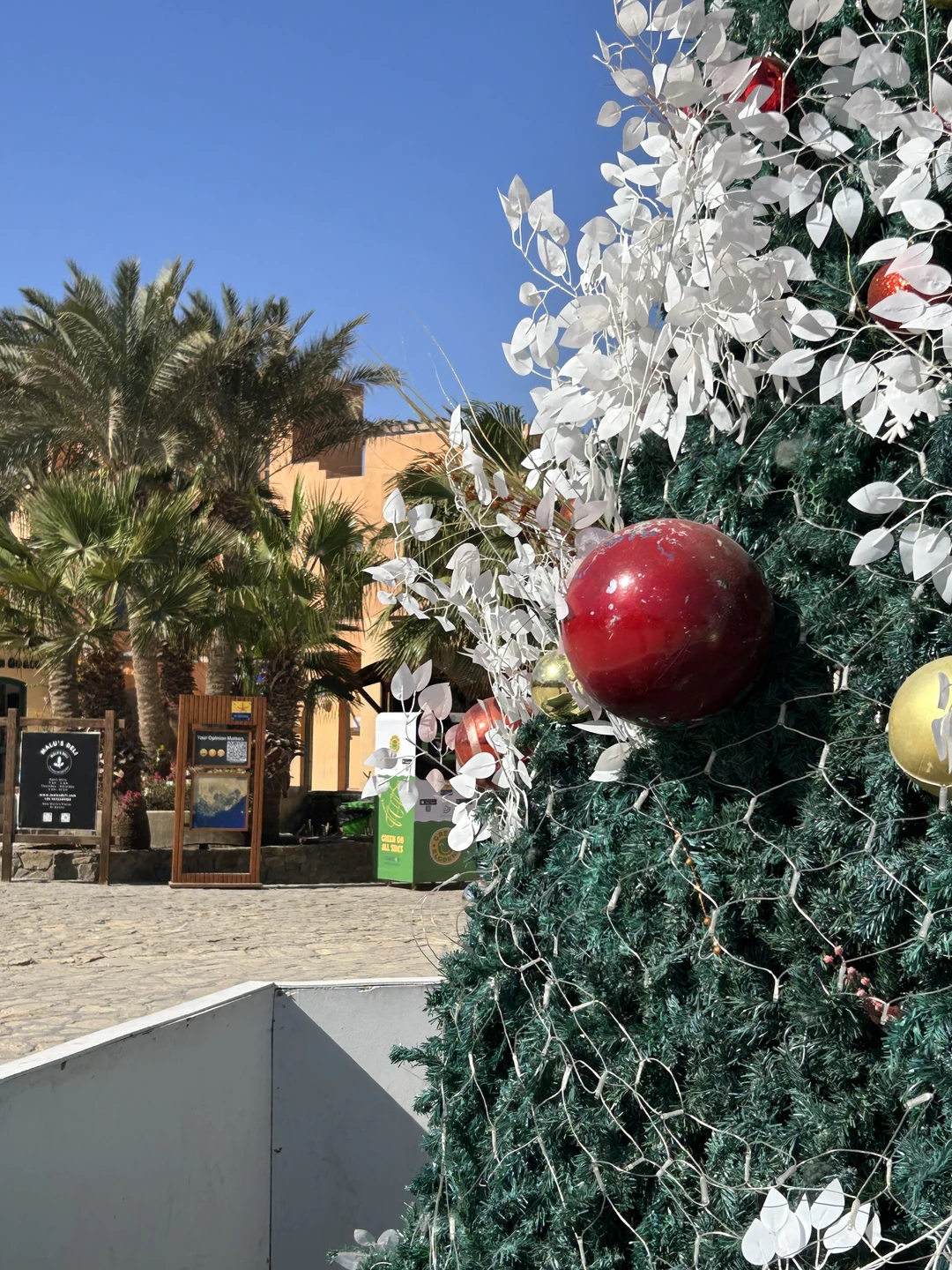 Тур в Египет. Декабрьское Чудо: Хургада перед Новым Годом - Египет - 01.12.2026 - 31.12.2026