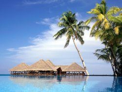 White Harp Beach Gh