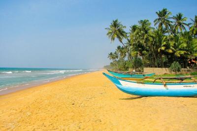 Garden Beach Hotel 3*