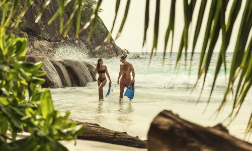 Зимний рай: отдых на Сейшелах из Москвы и Калининграда - Сейшелы